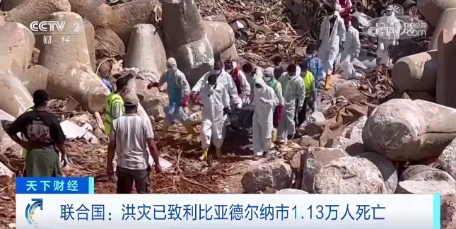 百盛bsf8